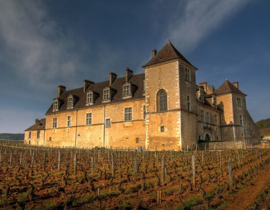 safari wine tours beaune