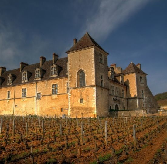 @safaritourbeaune