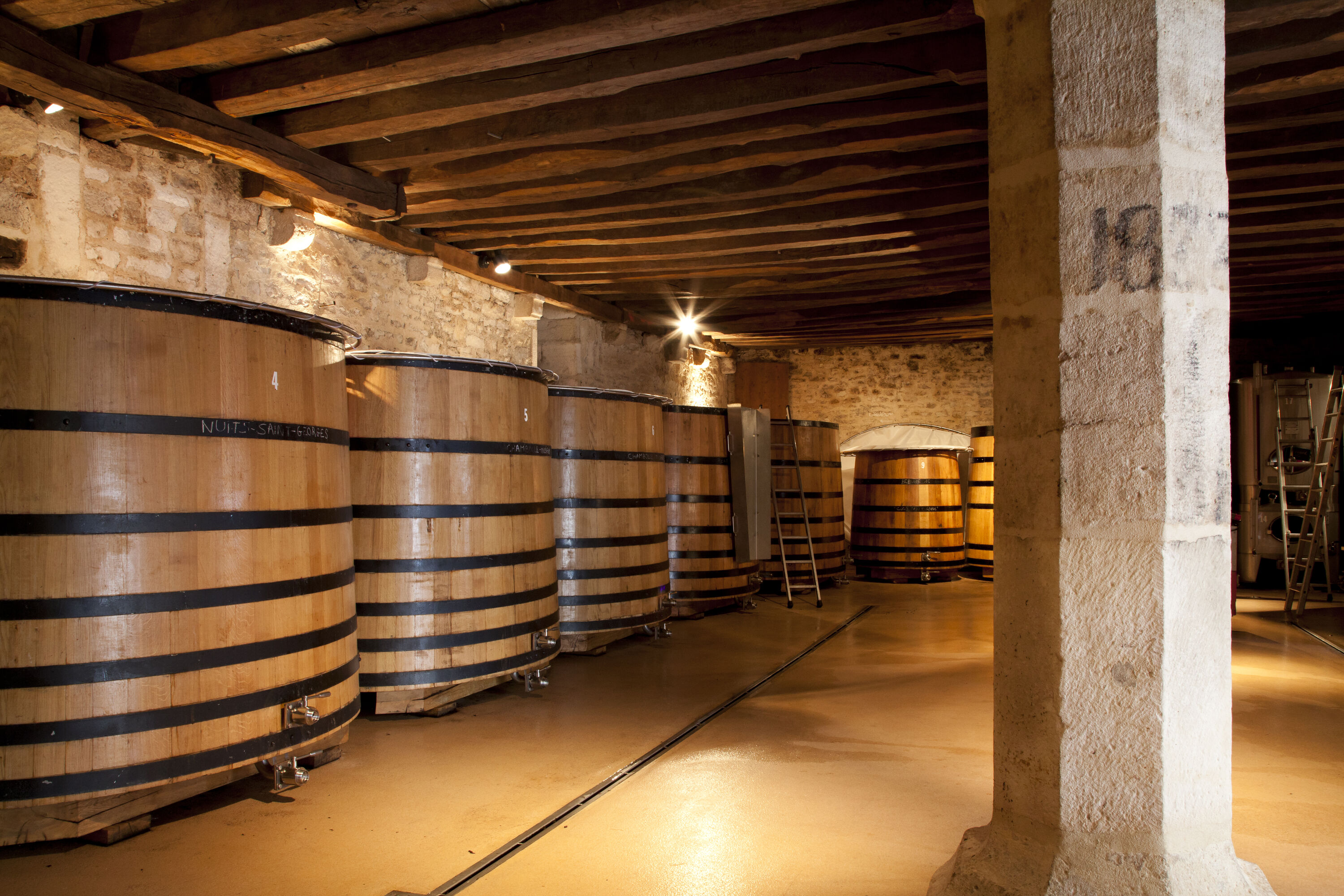 safari wine tours beaune