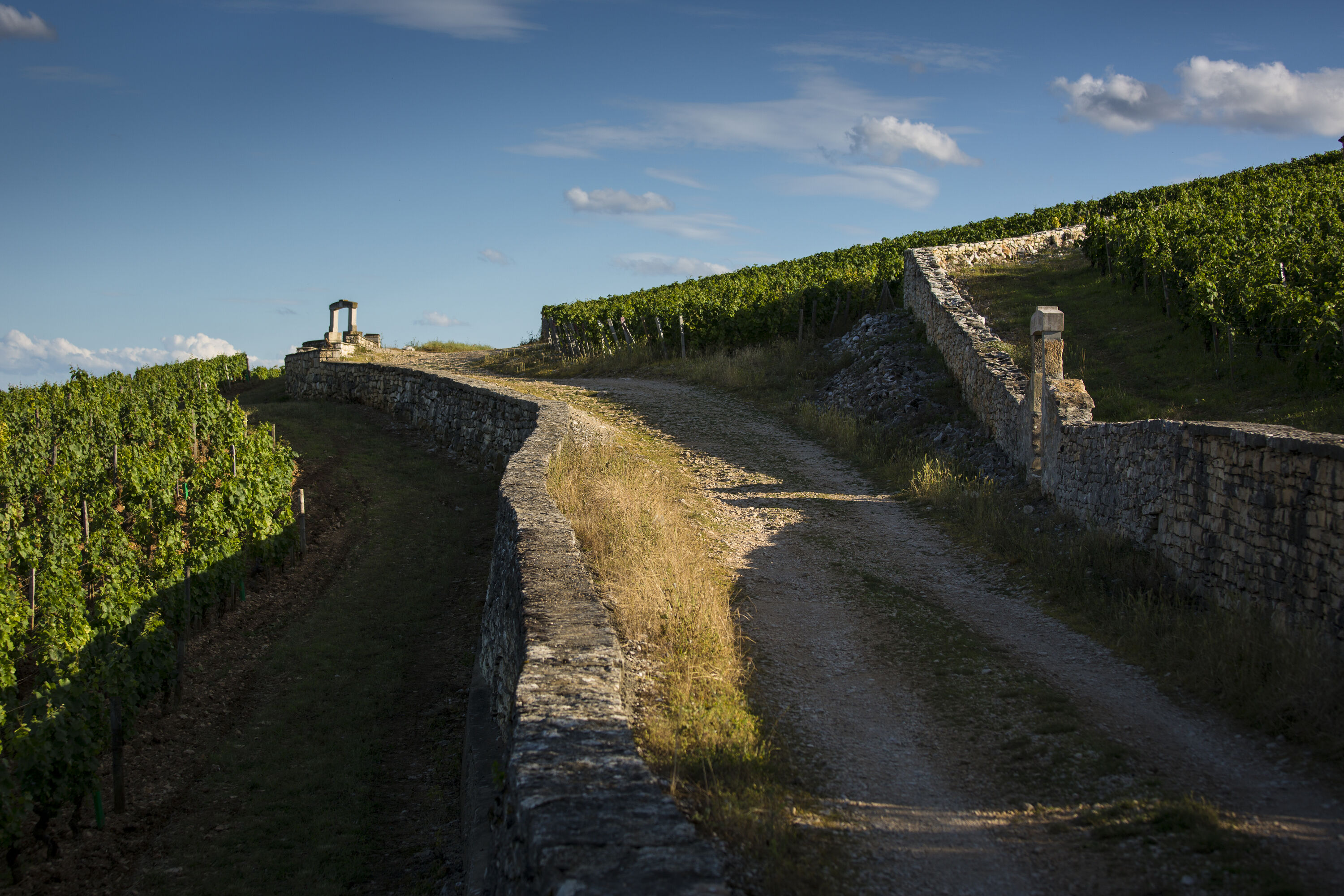 safari wine tours beaune